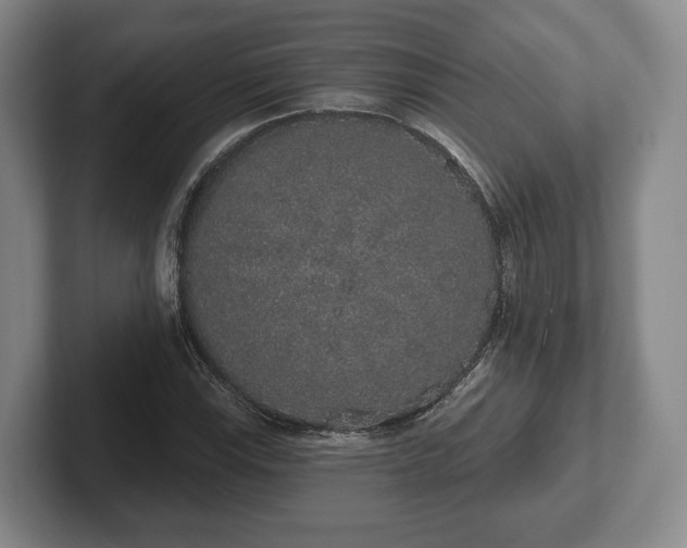 X0000102401115200808081259