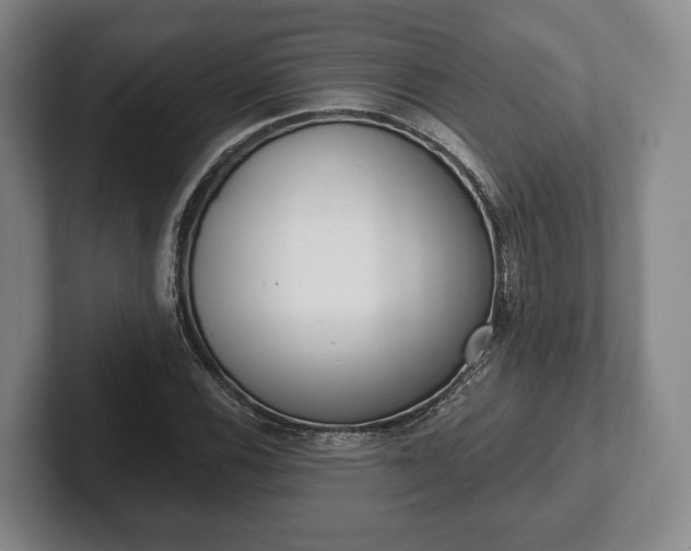 X0000102401116200808081259