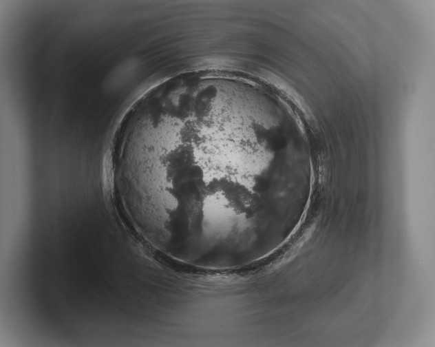 X0000102401117200808081259