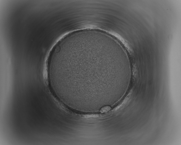 X0000102401118200808081259