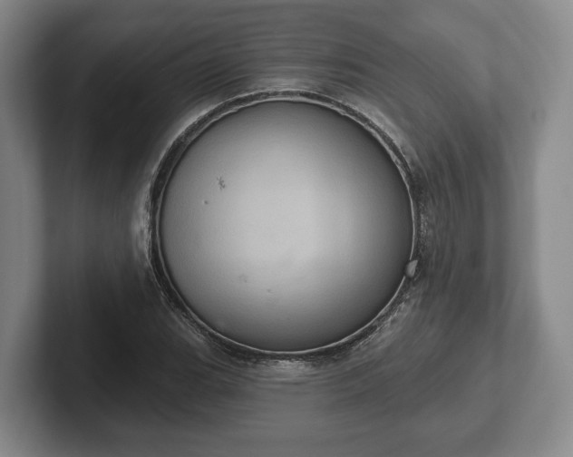 X0000102401119200808081259