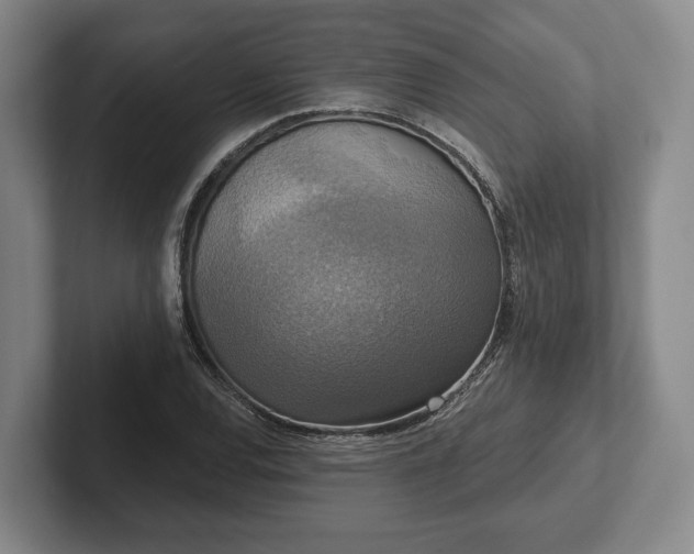 X0000102401120200808081259