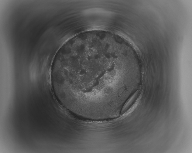 X0000102401121200808081259