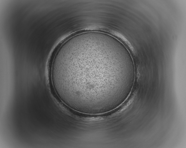 X0000102401122200808081259