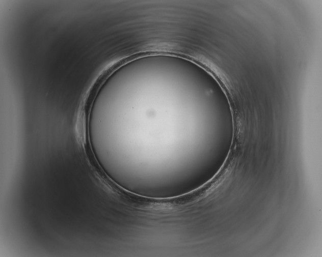 X0000102401123200808081259