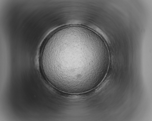 X0000102401124200808081259