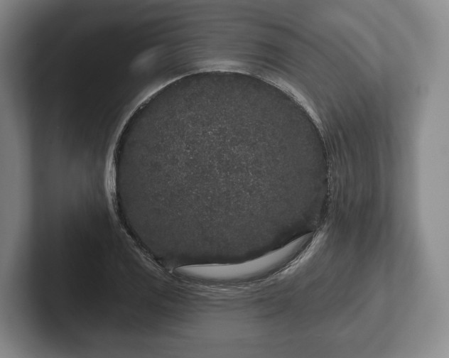 X0000102401125200808081259