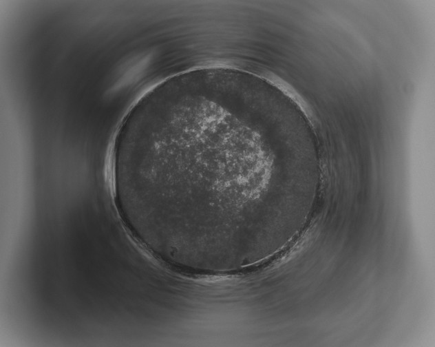 X0000102401127200808081259