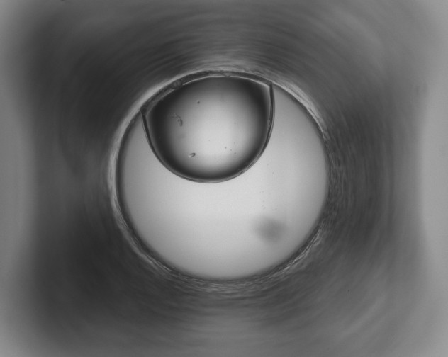 X0000102401128200808081259