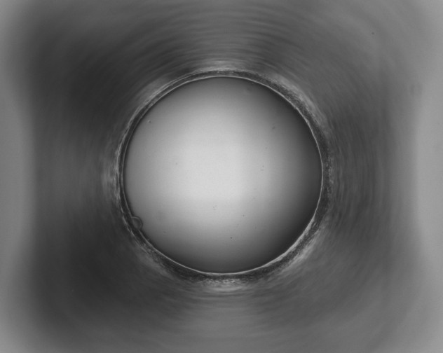 X0000102401129200808081259