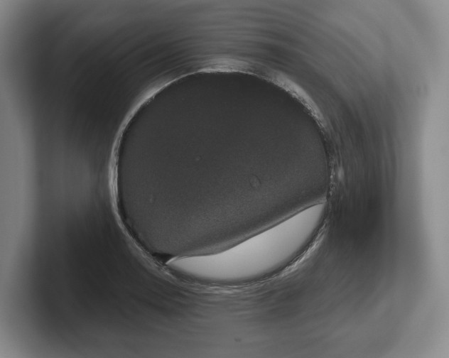 X0000102401130200808081259