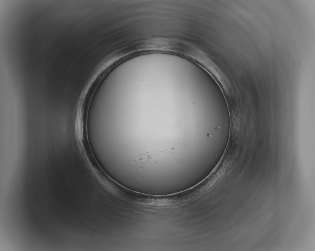 X0000102401131200808081259