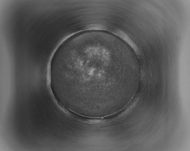 X0000102401132200808081259