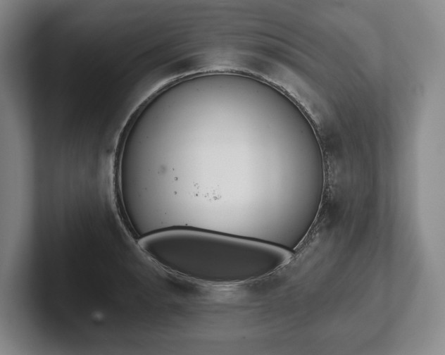 X0000102401134200808081259