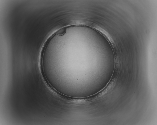 X0000102401135200808081259