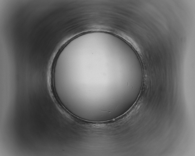 X0000102401136200808081259