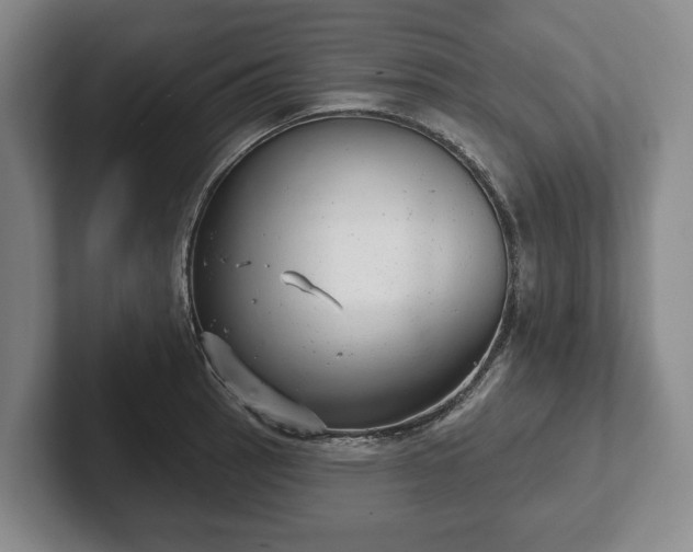 X0000102401137200808081259