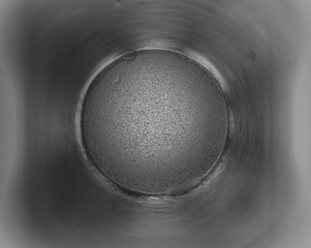 X0000102401138200808081259