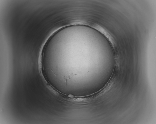 X0000102401140200808081259