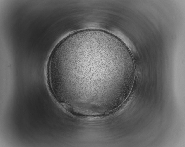 X0000102401142200808081259