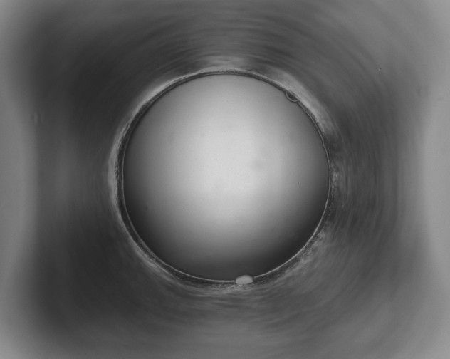 X0000102401143200808081259