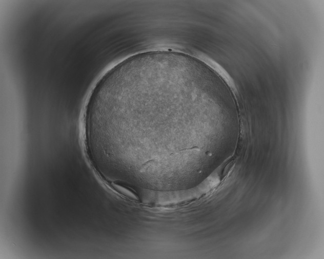 X0000102401144200808081259