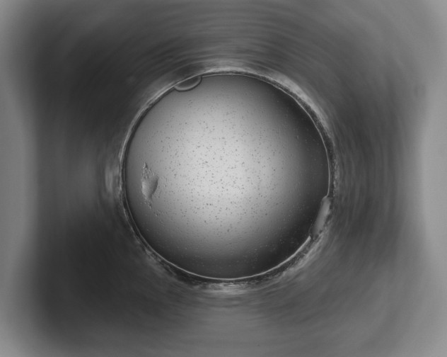 X0000102401145200808081259