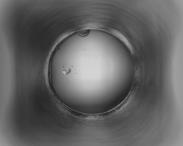 X0000102401146200808081259