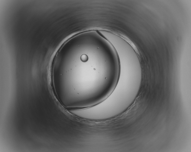 X0000102401148200808081259