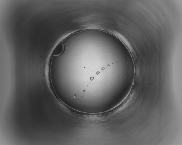 X0000102401149200808081259