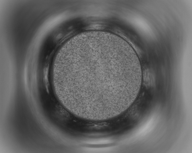 X0000102401150200808081259