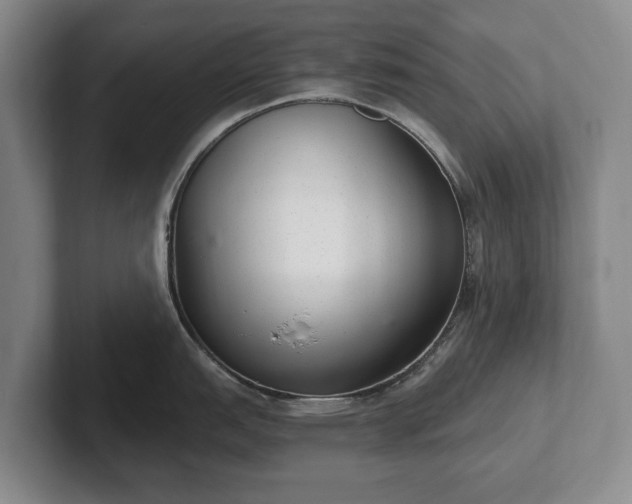 X0000102401151200808081259