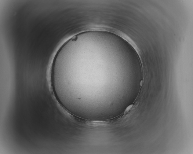 X0000102401152200808081259