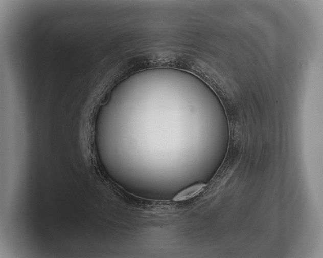 X0000102401153200808081259