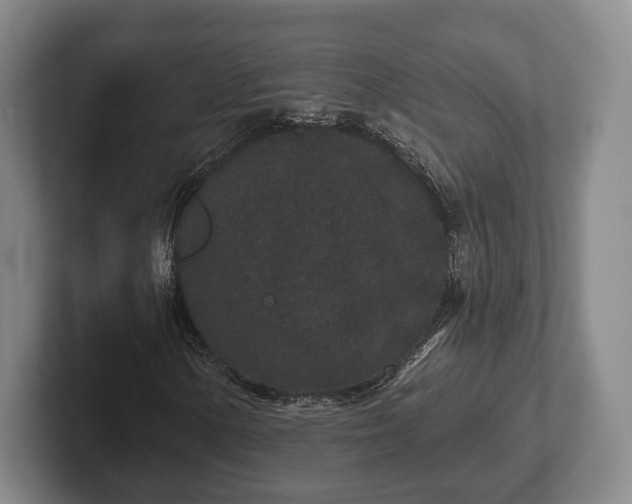 X0000102401154200808081259