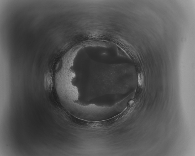 X0000102401155200808081259