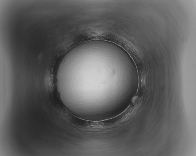 X0000102401156200808081259