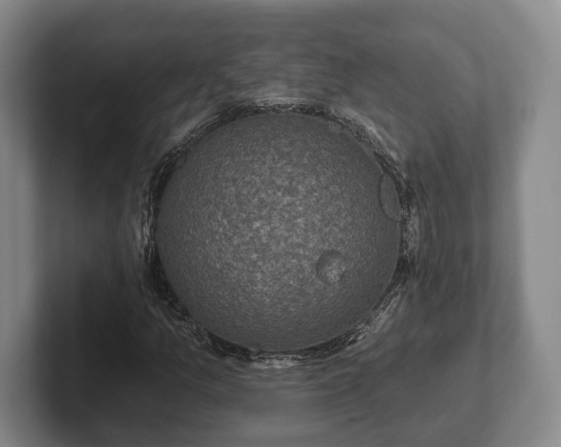 X0000102401157200808081259