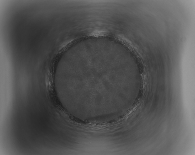 X0000102401158200808081259