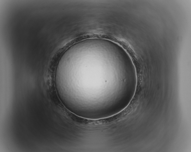 X0000102401159200808081259