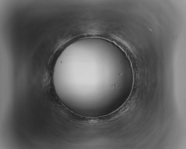 X0000102401160200808081259