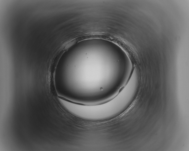 X0000102401161200808081259