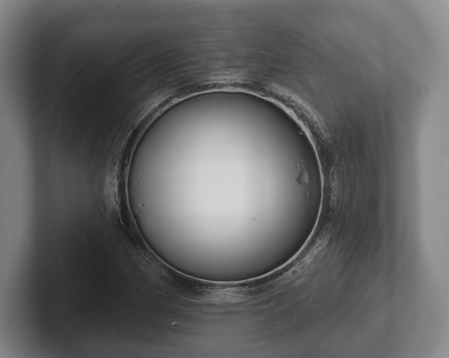 X0000102401162200808081259