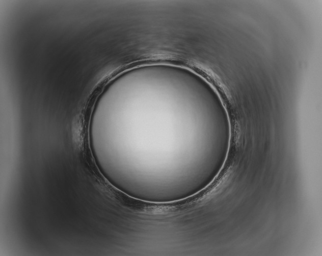 X0000102401163200808081259