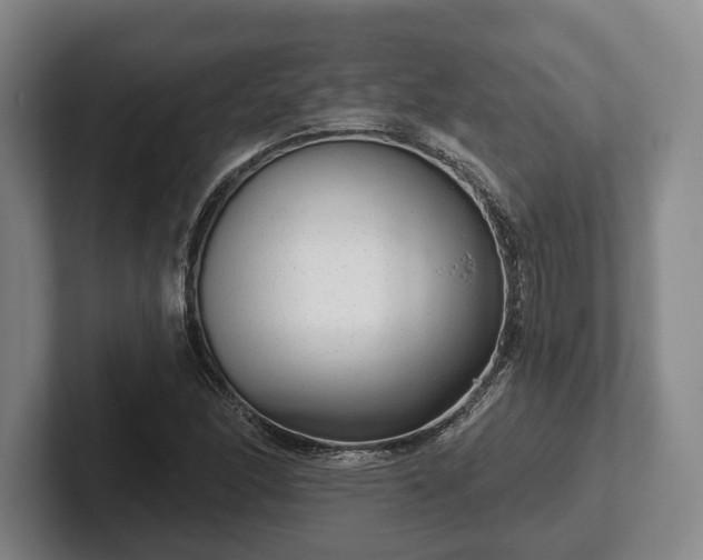 X0000102401166200808081259