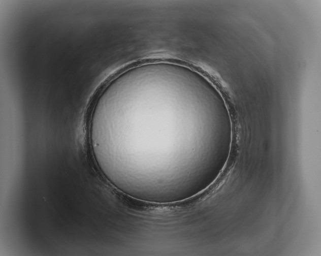 X0000102401167200808081258