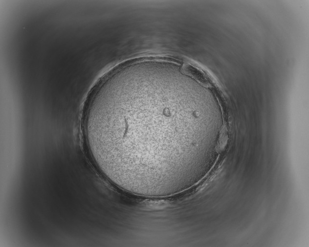 X0000102401168200808081258