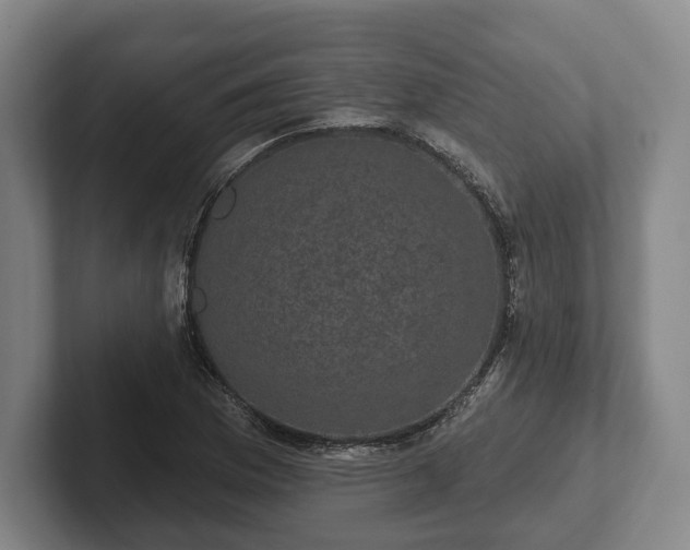 X0000102401169200808081258