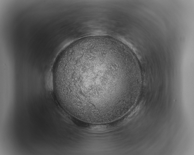 X0000102401171200808081258