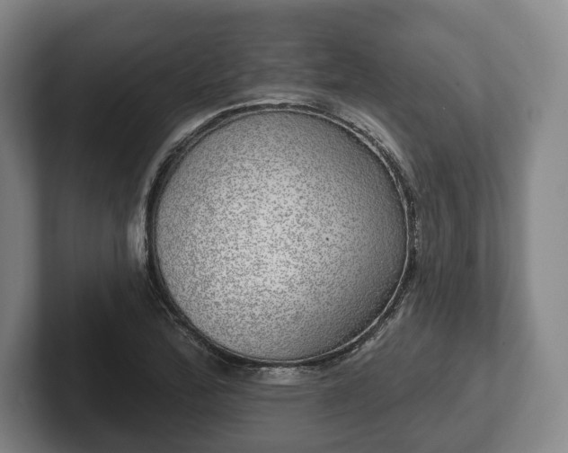 X0000102401172200808081258